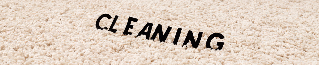 area rug cleaning Toronto
